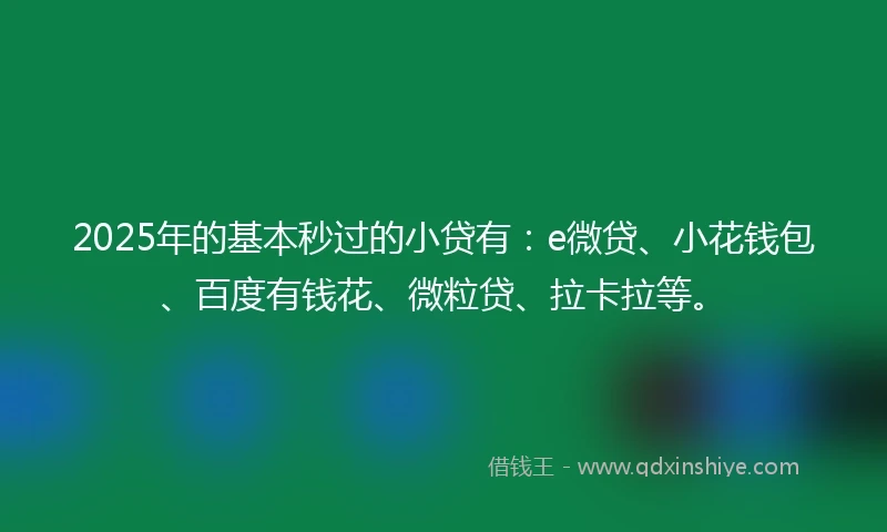 2025年的基本秒过的小贷有：e微贷、小花钱包、百度有钱花、微粒贷、拉卡拉等。