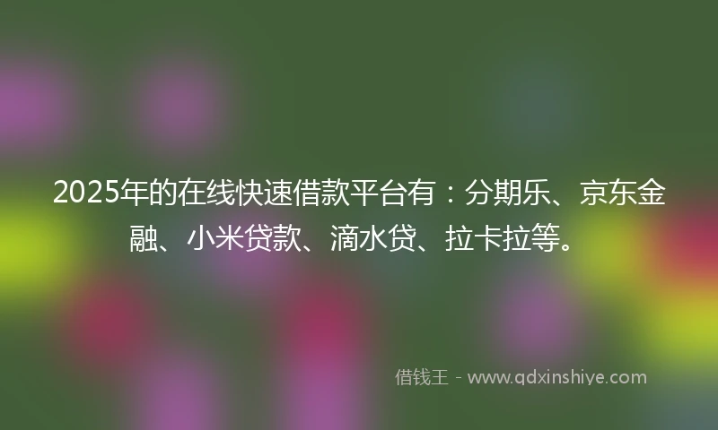 2025年的在线快速借款平台有：分期乐、京东金融、小米贷款、滴水贷、拉卡拉等。