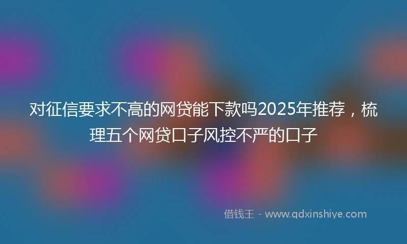对征信要求不高的网贷能下款吗2025年推荐，梳理五个网贷口子风控不严的口子