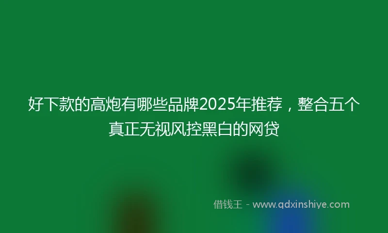 好下款的高炮有哪些品牌2025年推荐，整合五个真正无视风控黑白的网贷