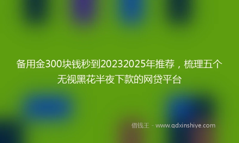 备用金300块钱秒到20232025年推荐，梳理五个无视黑花半夜下款的网贷平台