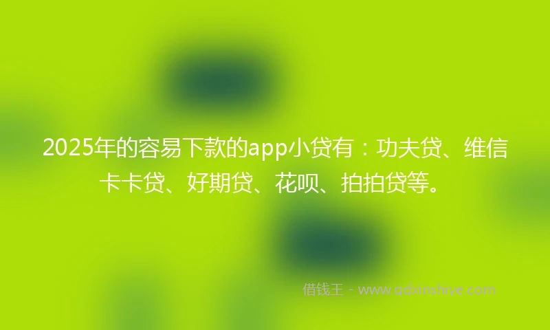 2025年的容易下款的app小贷有：功夫贷、维信卡卡贷、好期贷、花呗、拍拍贷等。
