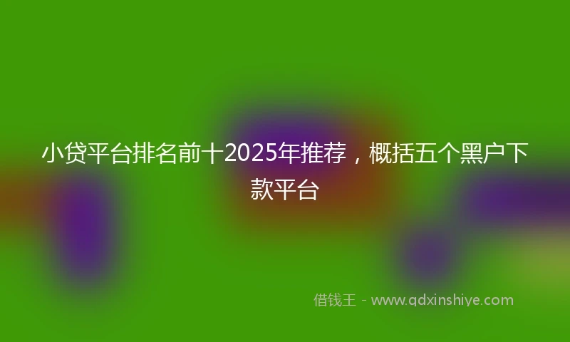 小贷平台排名前十2025年推荐，概括五个黑户下款平台