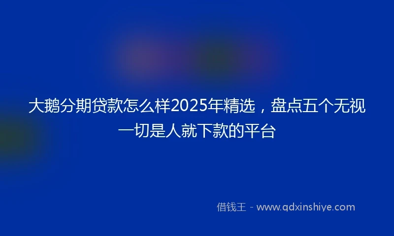大鹅分期贷款怎么样2025年精选，盘点五个无视一切是人就下款的平台