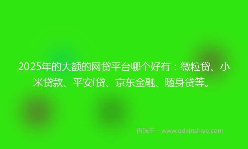 2025年的大额的网贷平台哪个好有：微粒贷、小米贷款、平安i贷、京东金融、随身贷等。