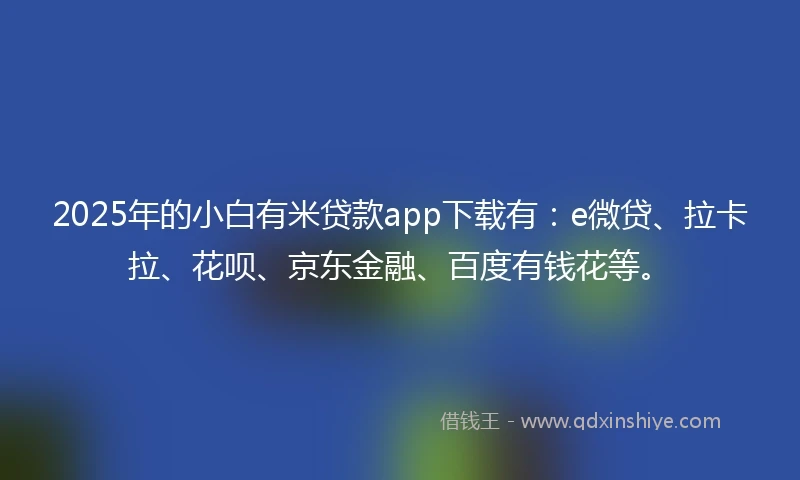 2025年的小白有米贷款app下载有：e微贷、拉卡拉、花呗、京东金融、百度有钱花等。