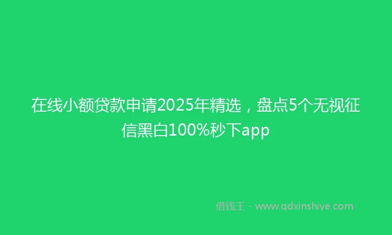 在线小额贷款申请2025年精选，盘点5个无视征信黑白100%秒下app