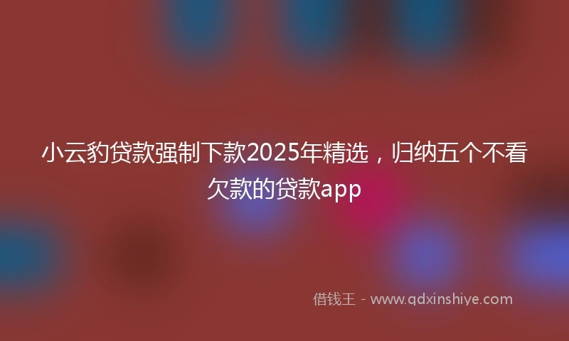小云豹贷款强制下款2025年精选，归纳五个不看欠款的贷款app