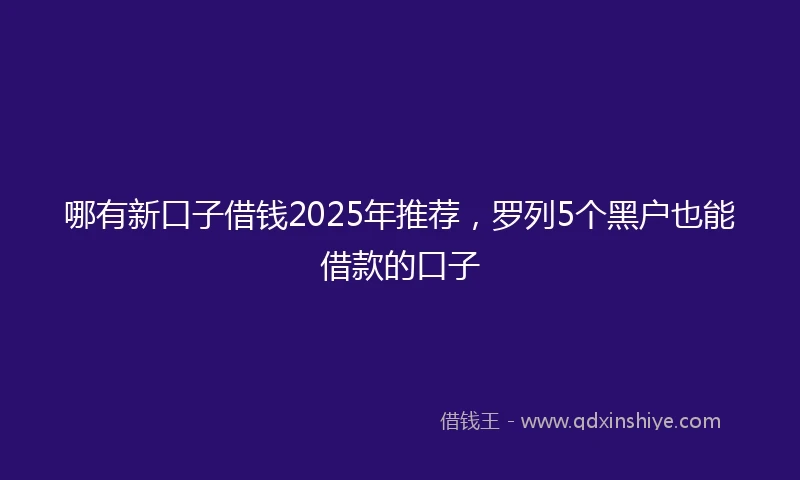 哪有新口子借钱2025年推荐，罗列5个黑户也能借款的口子