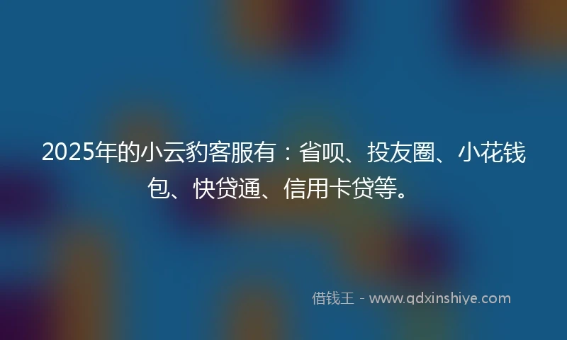 2025年的小云豹客服有：省呗、投友圈、小花钱包、快贷通、信用卡贷等。
