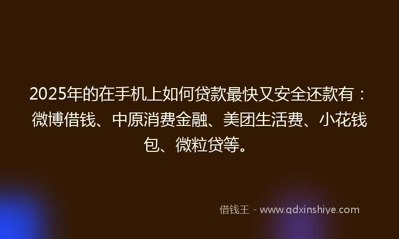 2025年的在手机上如何贷款最快又安全还款有：微博借钱、中原消费金融、美团生活费、小花钱包、微粒贷等。