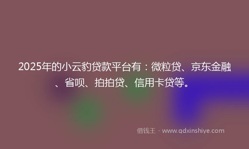 2025年的小云豹贷款平台有：微粒贷、京东金融、省呗、拍拍贷、信用卡贷等。