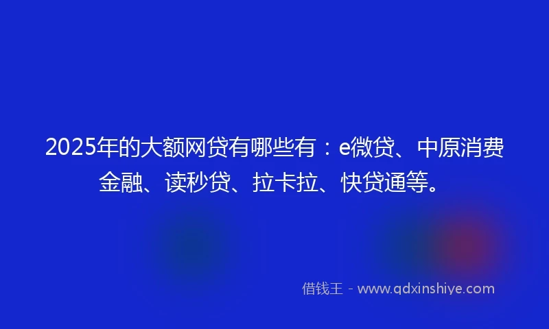 2025年的大额网贷有哪些有：e微贷、中原消费金融、读秒贷、拉卡拉、快贷通等。