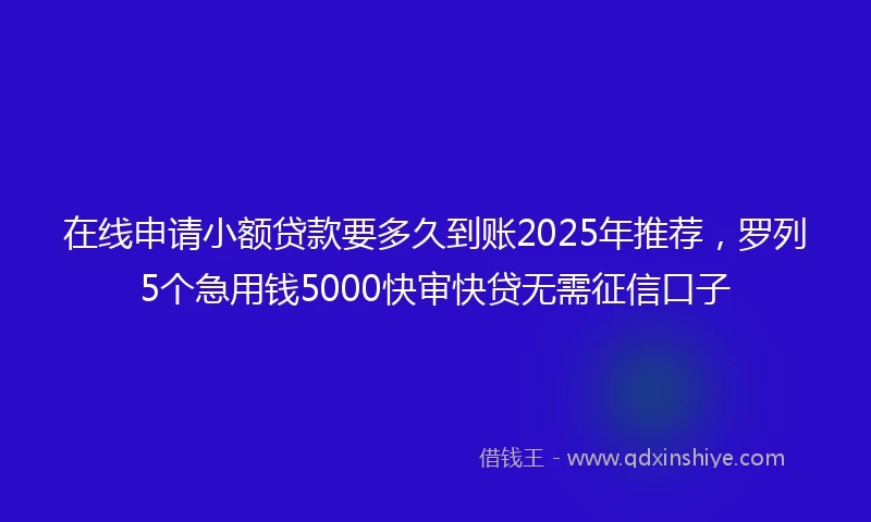 在线申请小额贷款要多久到账2025年推荐，罗列5个急用钱5000快审快贷无需征信口子