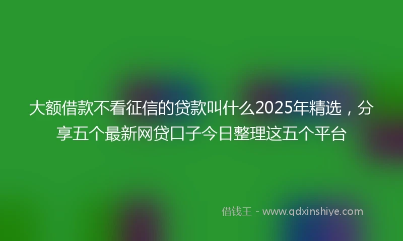 大额借款不看征信的贷款叫什么2025年精选，分享五个最新网贷口子今日整理这五个平台