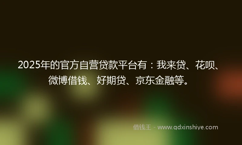 2025年的官方自营贷款平台有：我来贷、花呗、微博借钱、好期贷、京东金融等。