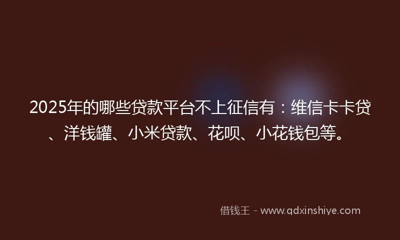 2025年的哪些贷款平台不上征信有：维信卡卡贷、洋钱罐、小米贷款、花呗、小花钱包等。