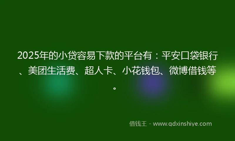 2025年的小贷容易下款的平台有：平安口袋银行、美团生活费、超人卡、小花钱包、微博借钱等。