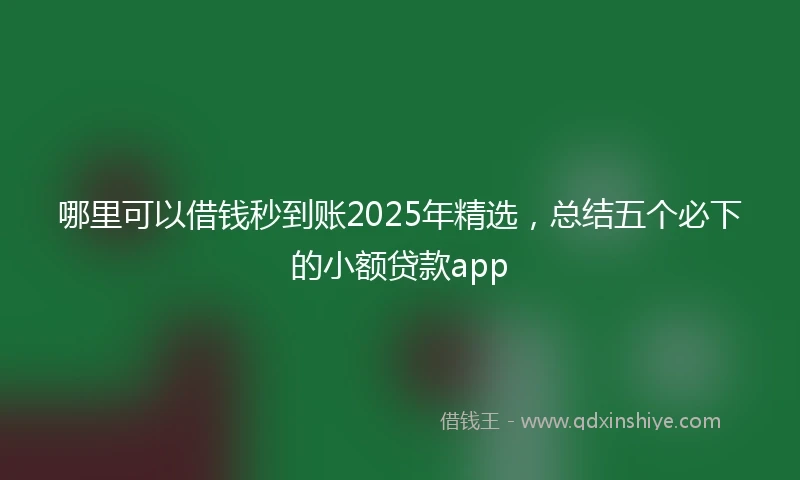 哪里可以借钱秒到账2025年精选，总结五个必下的小额贷款app