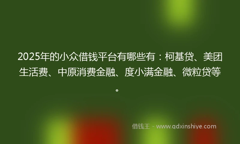 2025年的小众借钱平台有哪些有：柯基贷、美团生活费、中原消费金融、度小满金融、微粒贷等。