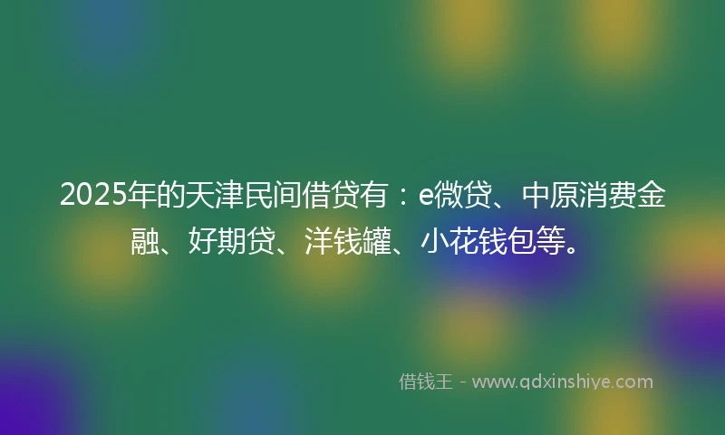 2025年的天津民间借贷有：e微贷、中原消费金融、好期贷、洋钱罐、小花钱包等。