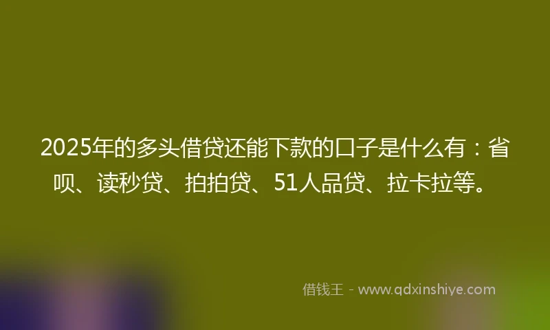 2025年的多头借贷还能下款的口子是什么有：省呗、读秒贷、拍拍贷、51人品贷、拉卡拉等。