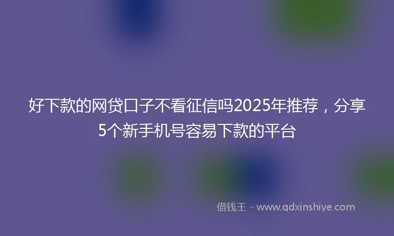 好下款的网贷口子不看征信吗2025年推荐，分享5个新手机号容易下款的平台