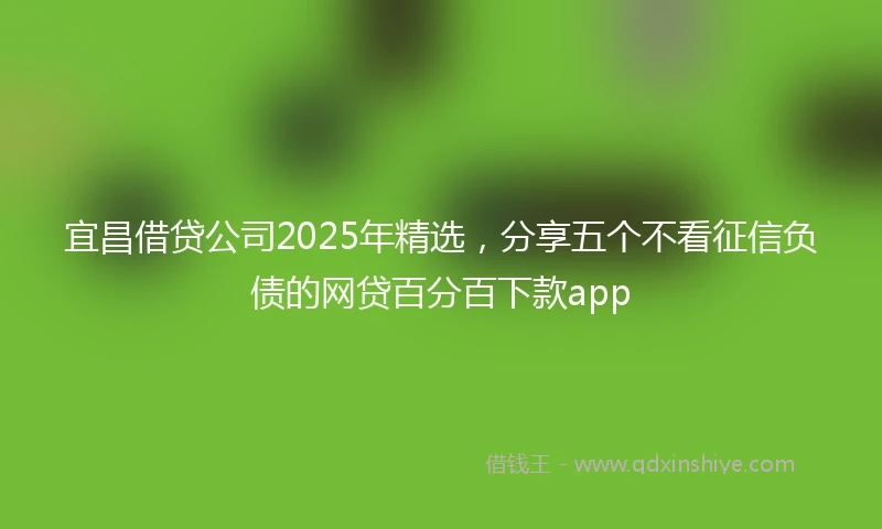宜昌借贷公司2025年精选，分享五个不看征信负债的网贷百分百下款app