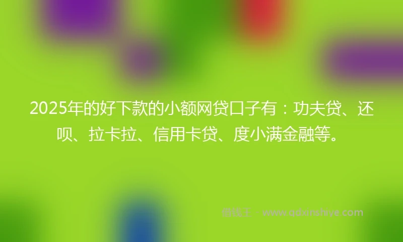 2025年的好下款的小额网贷口子有：功夫贷、还呗、拉卡拉、信用卡贷、度小满金融等。