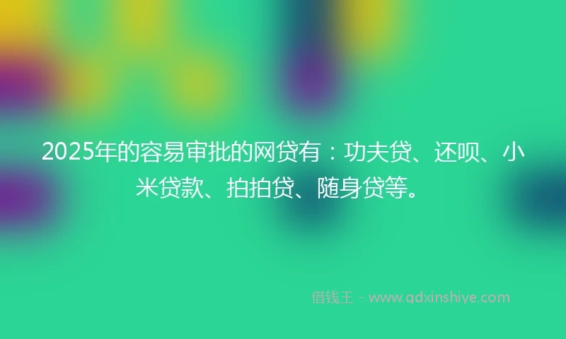 2025年的容易审批的网贷有：功夫贷、还呗、小米贷款、拍拍贷、随身贷等。