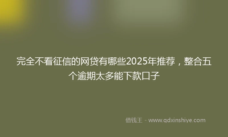 完全不看征信的网贷有哪些2025年推荐，整合五个逾期太多能下款口子