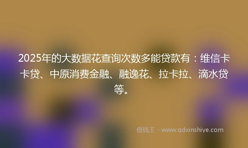 2025年的大数据花查询次数多能贷款有：维信卡卡贷、中原消费金融、融逸花、拉卡拉、滴水贷等。