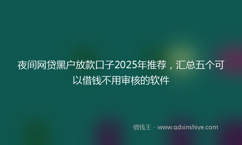 夜间网贷黑户放款口子2025年推荐，汇总五个可以借钱不用审核的软件