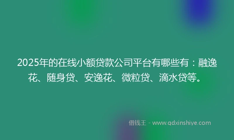 2025年的在线小额贷款公司平台有哪些有：融逸花、随身贷、安逸花、微粒贷、滴水贷等。