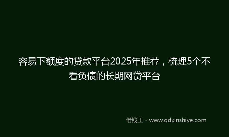 容易下额度的贷款平台2025年推荐，梳理5个不看负债的长期网贷平台