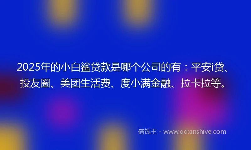 2025年的小白鲨贷款是哪个公司的有：平安i贷、投友圈、美团生活费、度小满金融、拉卡拉等。