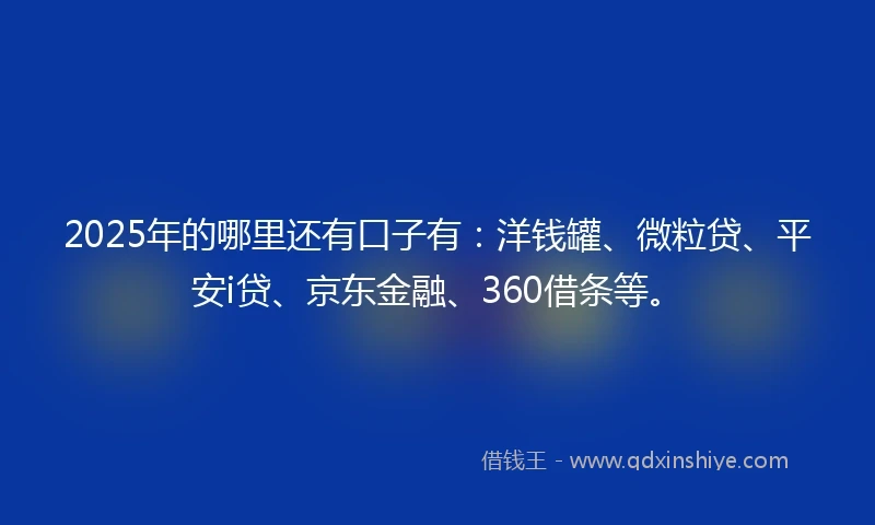 2025年的哪里还有口子有：洋钱罐、微粒贷、平安i贷、京东金融、360借条等。