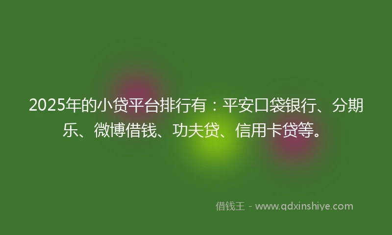 2025年的小贷平台排行有：平安口袋银行、分期乐、微博借钱、功夫贷、信用卡贷等。
