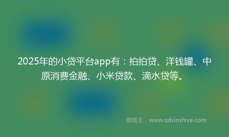 2025年的小贷平台app有：拍拍贷、洋钱罐、中原消费金融、小米贷款、滴水贷等。
