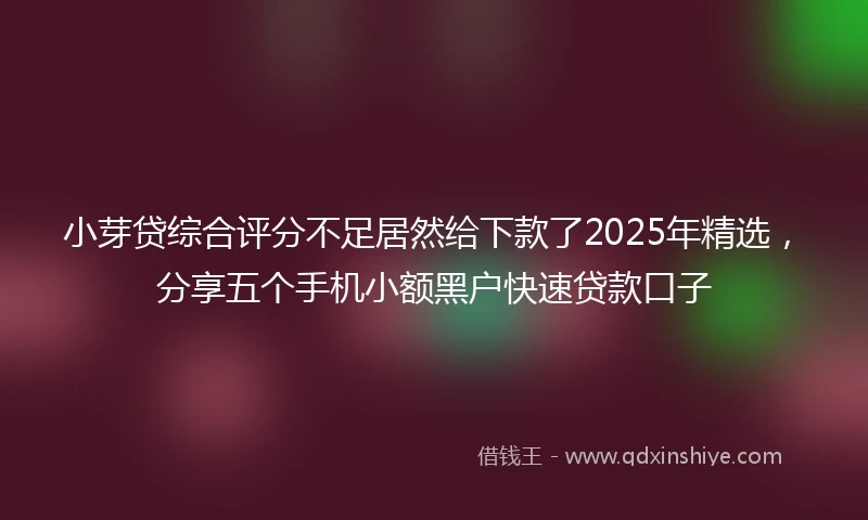 小芽贷综合评分不足居然给下款了2025年精选，分享五个手机小额黑户快速贷款口子