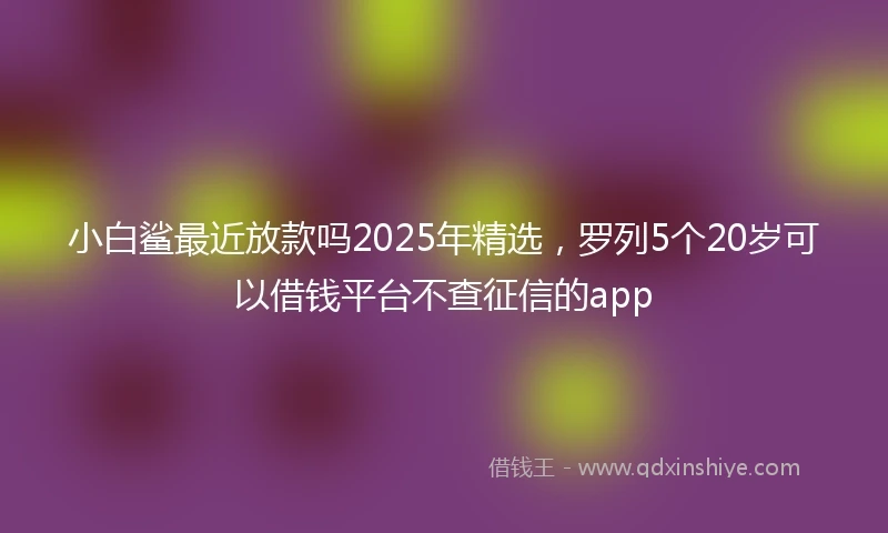 小白鲨最近放款吗2025年精选，罗列5个20岁可以借钱平台不查征信的app