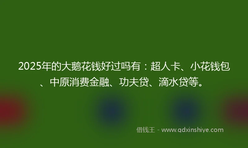 2025年的大鹅花钱好过吗有：超人卡、小花钱包、中原消费金融、功夫贷、滴水贷等。