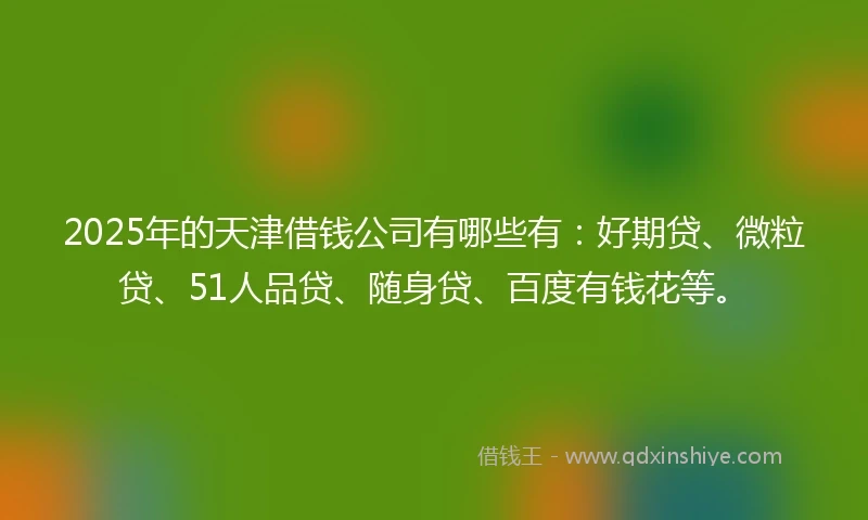 2025年的天津借钱公司有哪些有：好期贷、微粒贷、51人品贷、随身贷、百度有钱花等。