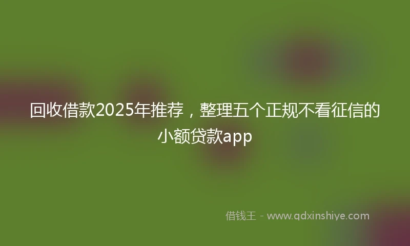 回收借款2025年推荐，整理五个正规不看征信的小额贷款app