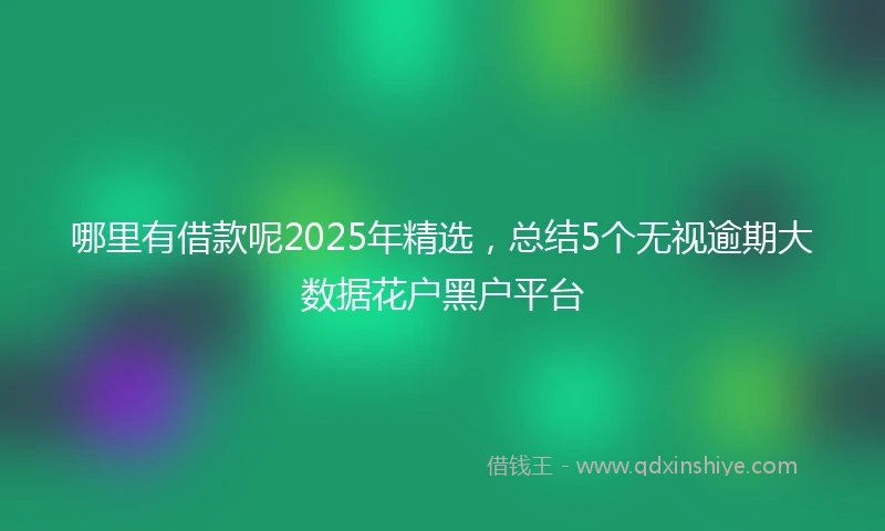 哪里有借款呢2025年精选，总结5个无视逾期大数据花户黑户平台