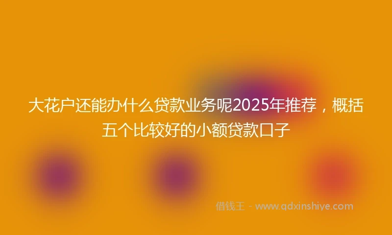 大花户还能办什么贷款业务呢2025年推荐，概括五个比较好的小额贷款口子