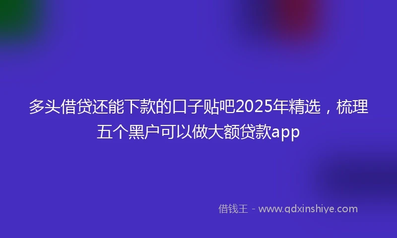多头借贷还能下款的口子贴吧2025年精选，梳理五个黑户可以做大额贷款app
