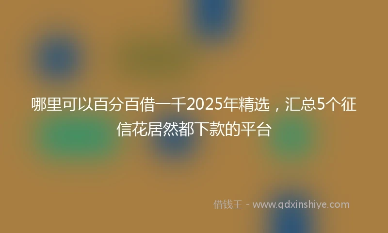 哪里可以百分百借一千2025年精选，汇总5个征信花居然都下款的平台