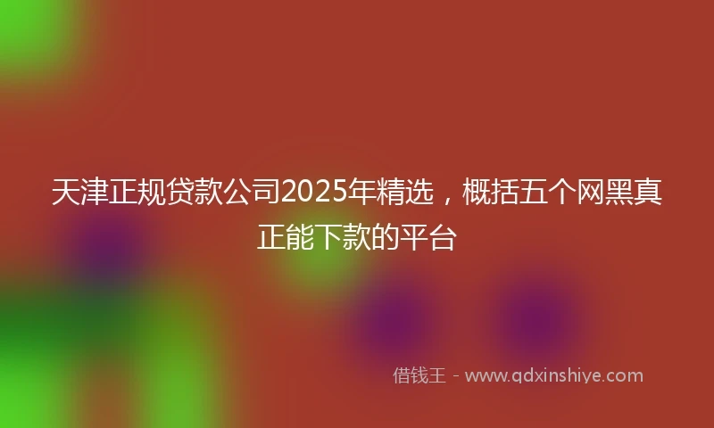 天津正规贷款公司2025年精选，概括五个网黑真正能下款的平台