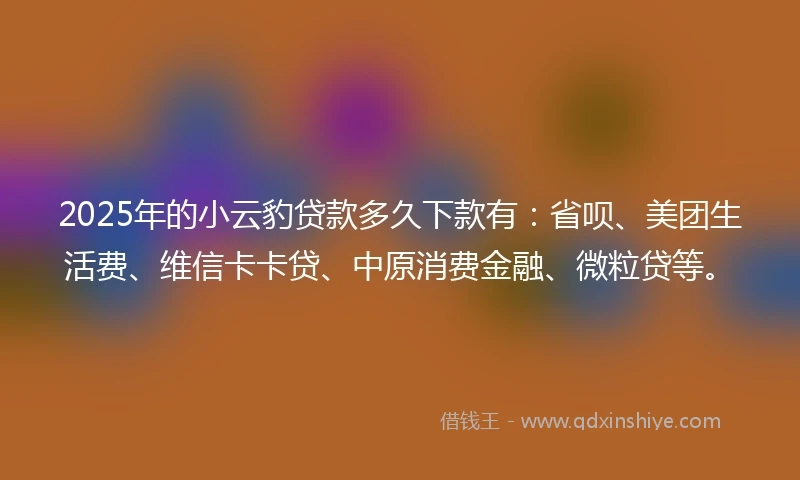 2025年的小云豹贷款多久下款有：省呗、美团生活费、维信卡卡贷、中原消费金融、微粒贷等。